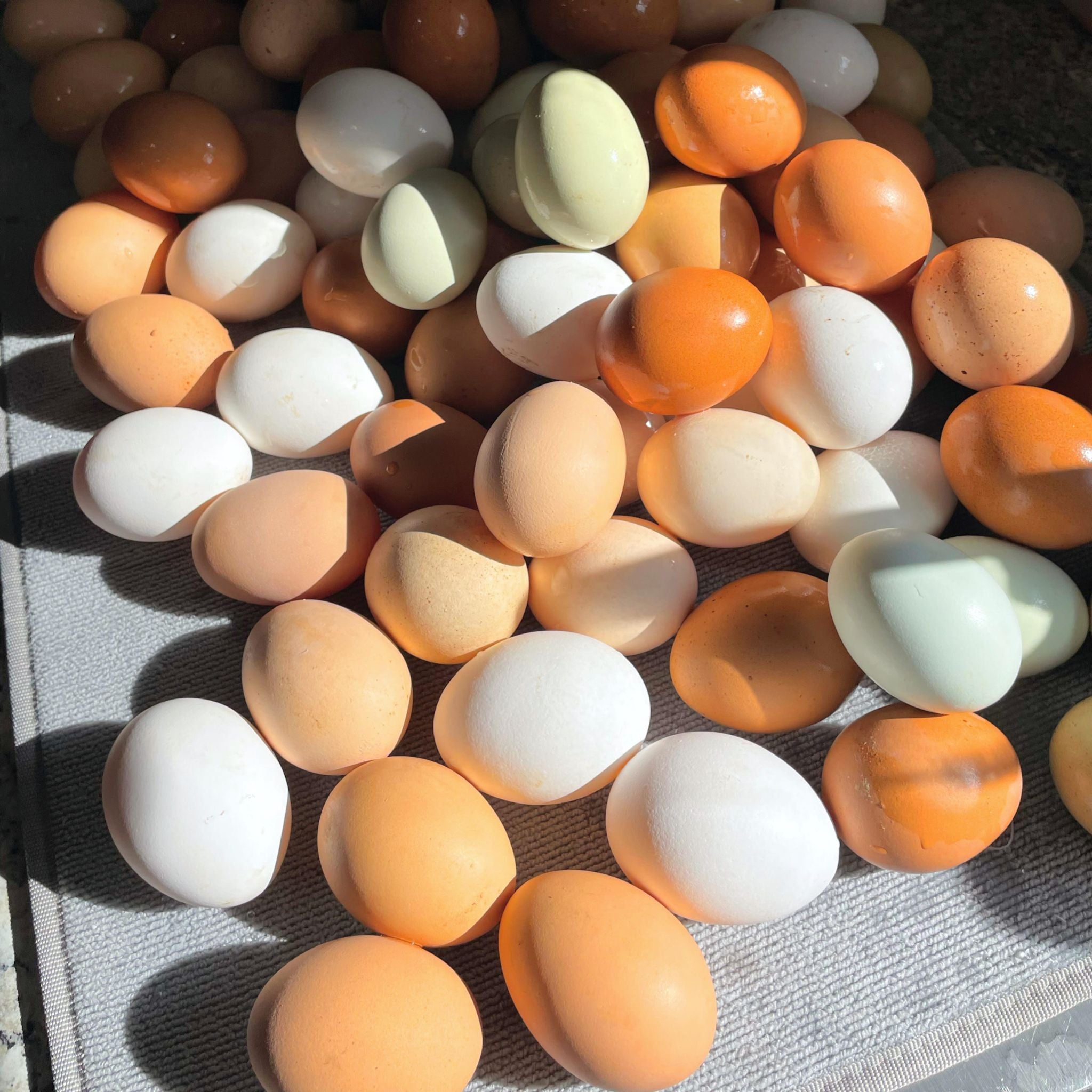 Pasture-Raised Eggs