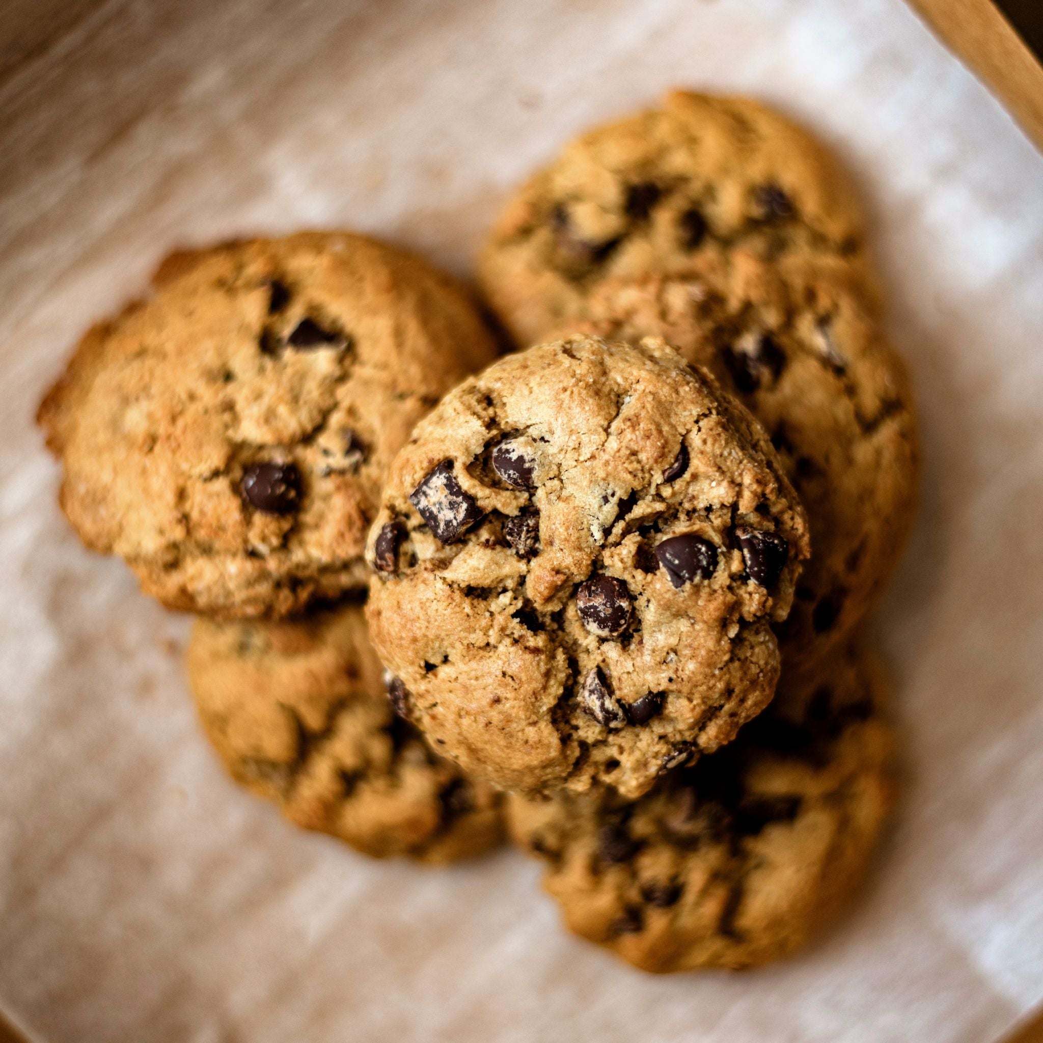 Chocolate Chunk Cookie
